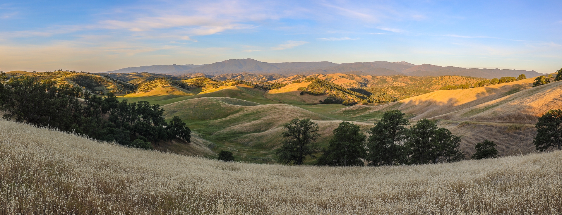 Pentacola Ranch | Tehama County, California